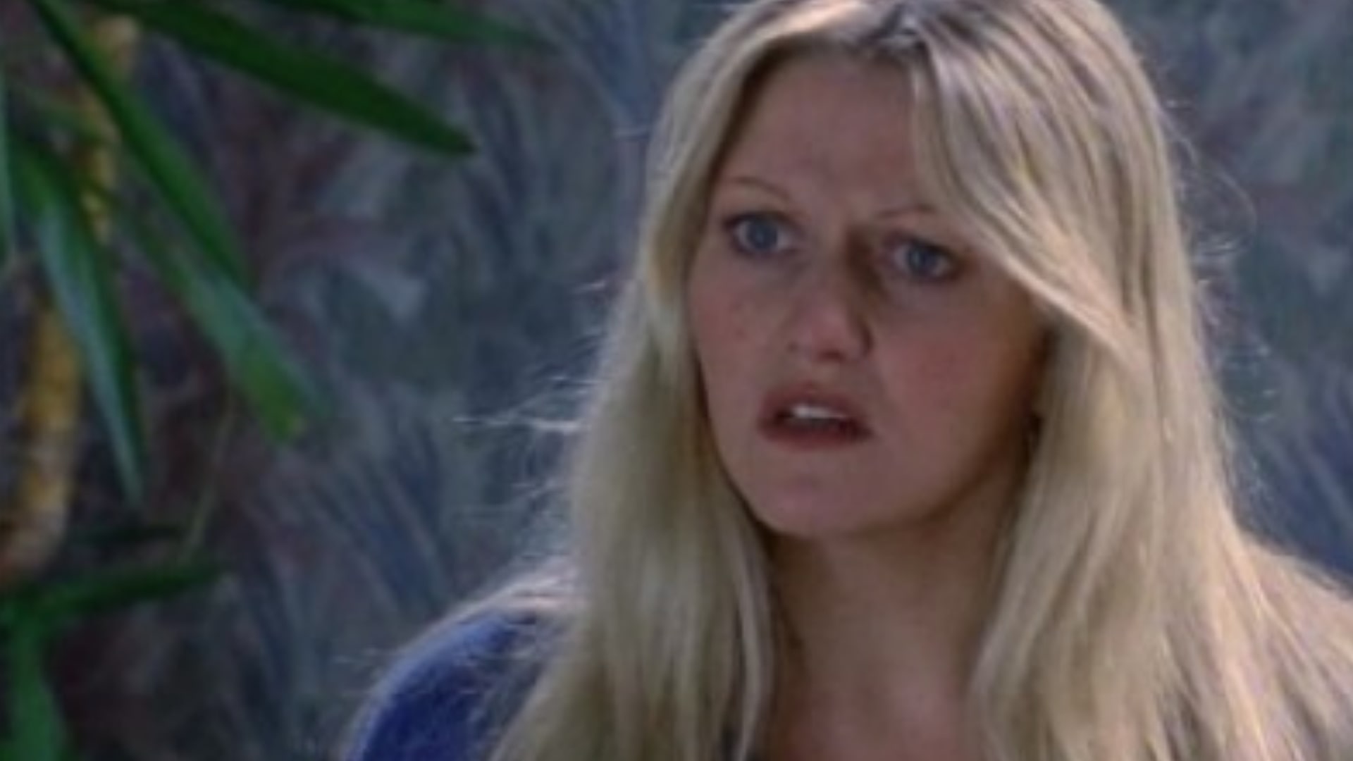 Season 4