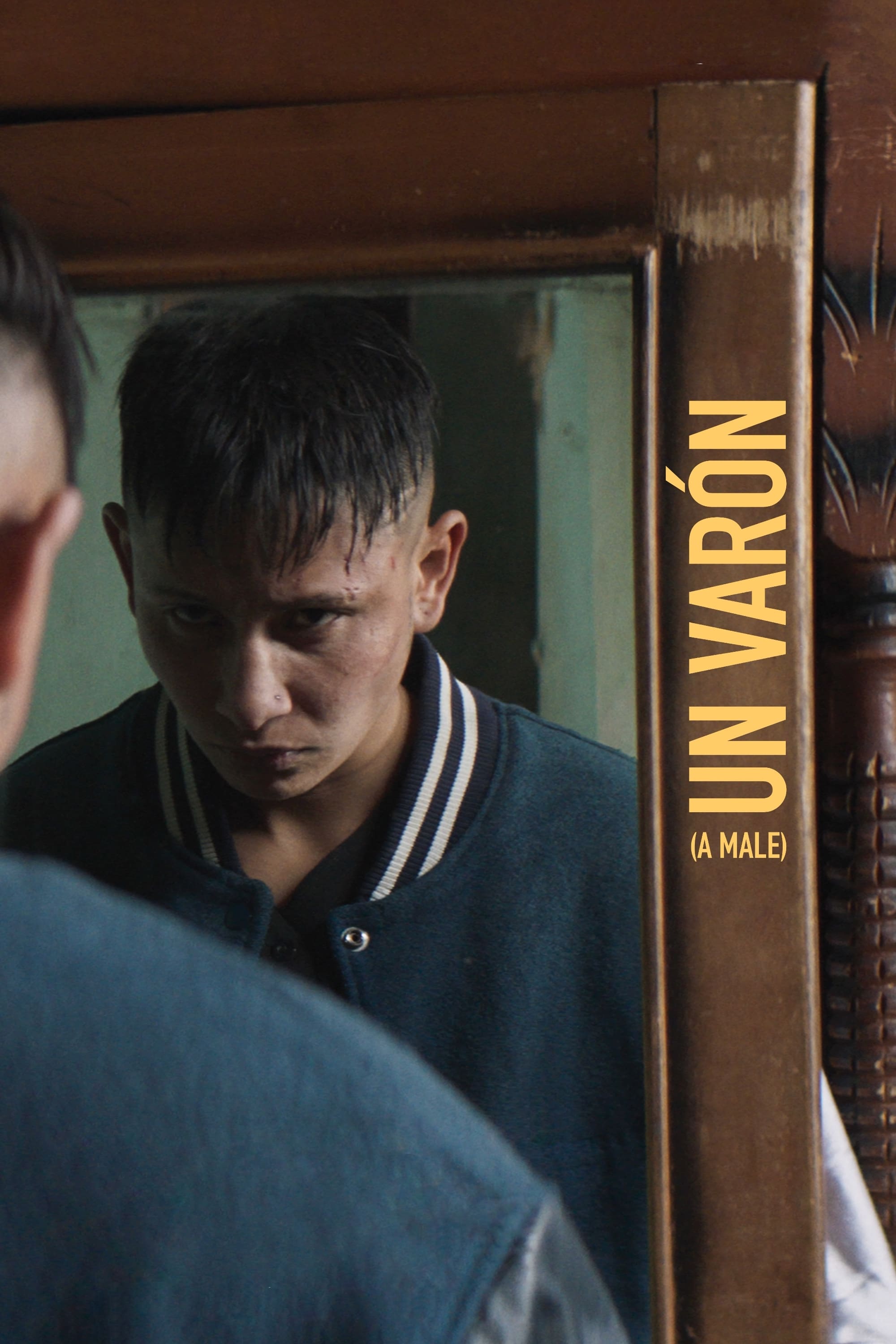 Un var&oacute;n