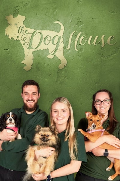 The Dog House - Season 1 - Cool Movies & Latest TV Episodes at Original