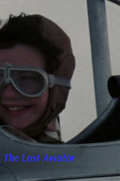 The Lost Aviator