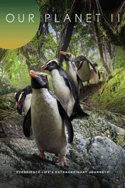 Our Planet - Season 2